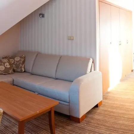 恩奇安酒店 酒店