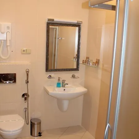 恩奇安酒店 酒店 3*