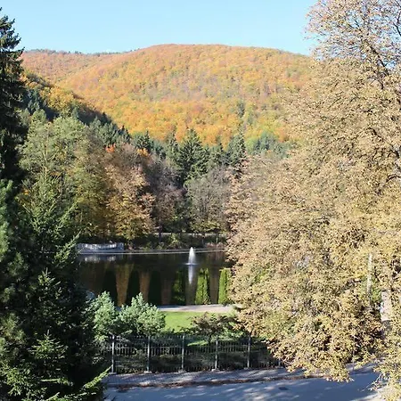 酒店 恩奇安酒店 劳耶克特普利采